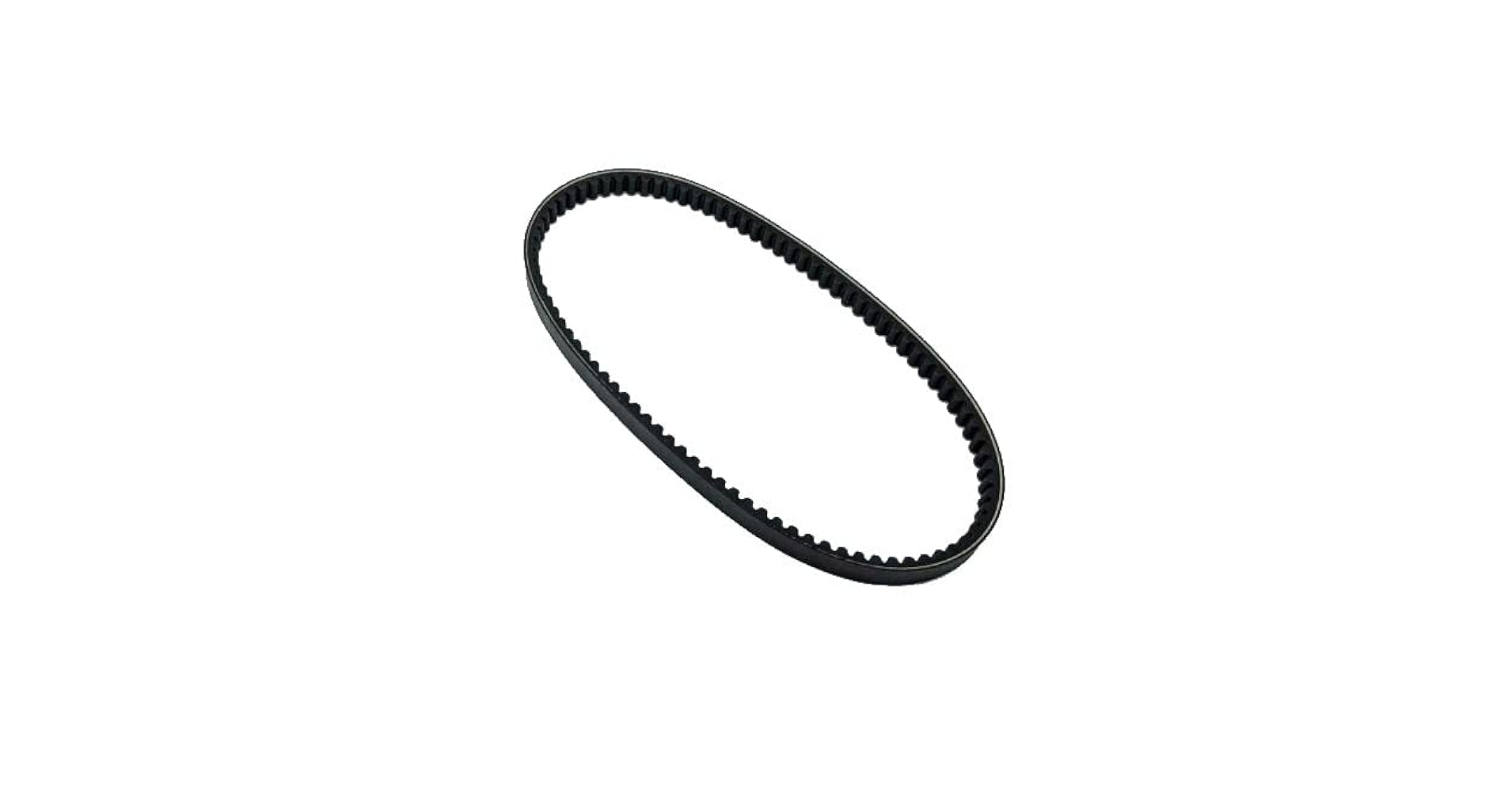 Cinghia di distribuzione